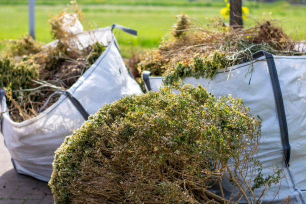 Best Office Junk Removal  in Bellefonte, DE